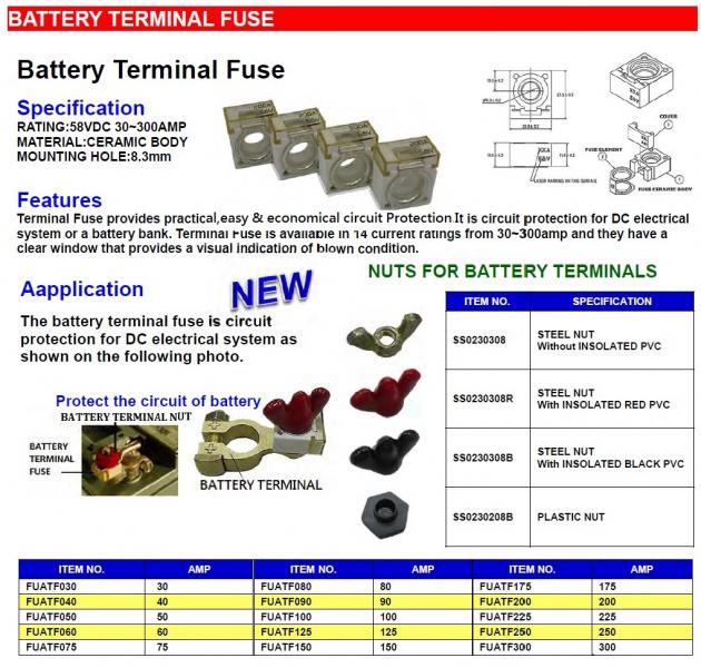 Battery Terminal Fuse 1